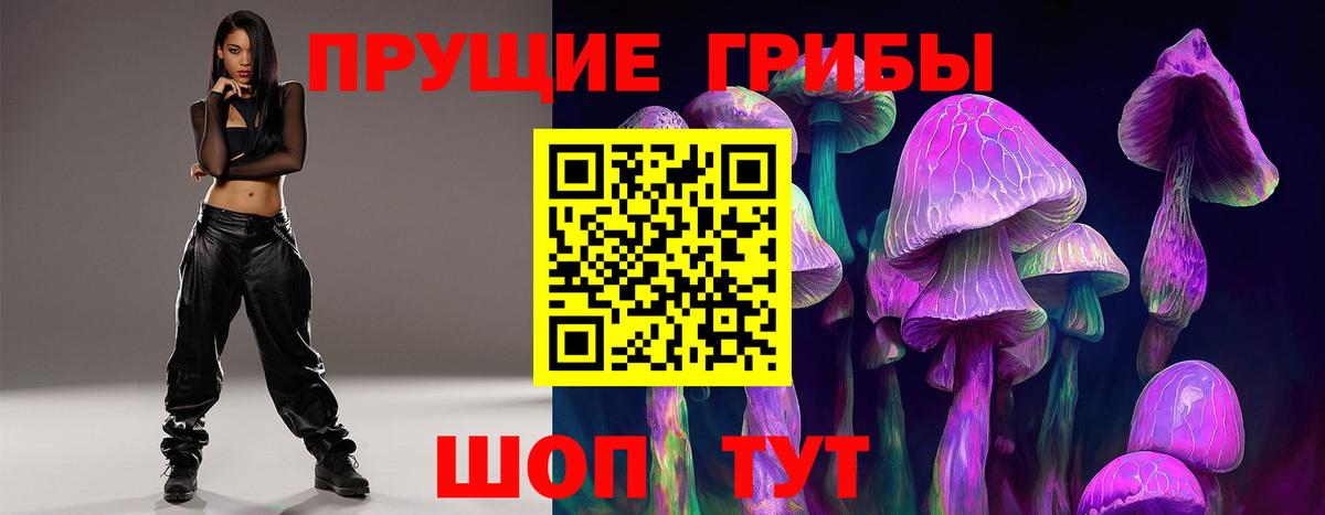Красногорск  купить наркотик  Вход с VPN  Псилоцибиновые грибы прущие грибы  Псилоцибиновые грибы мицелий 
